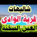 WhatsApp Image 2025-12-07 at 11.29.02_8f2eddee